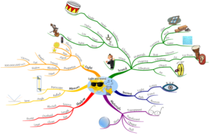 SuperCamp college prep academic summer programs teaches advanced study skills like mind-mapping shown in this image.